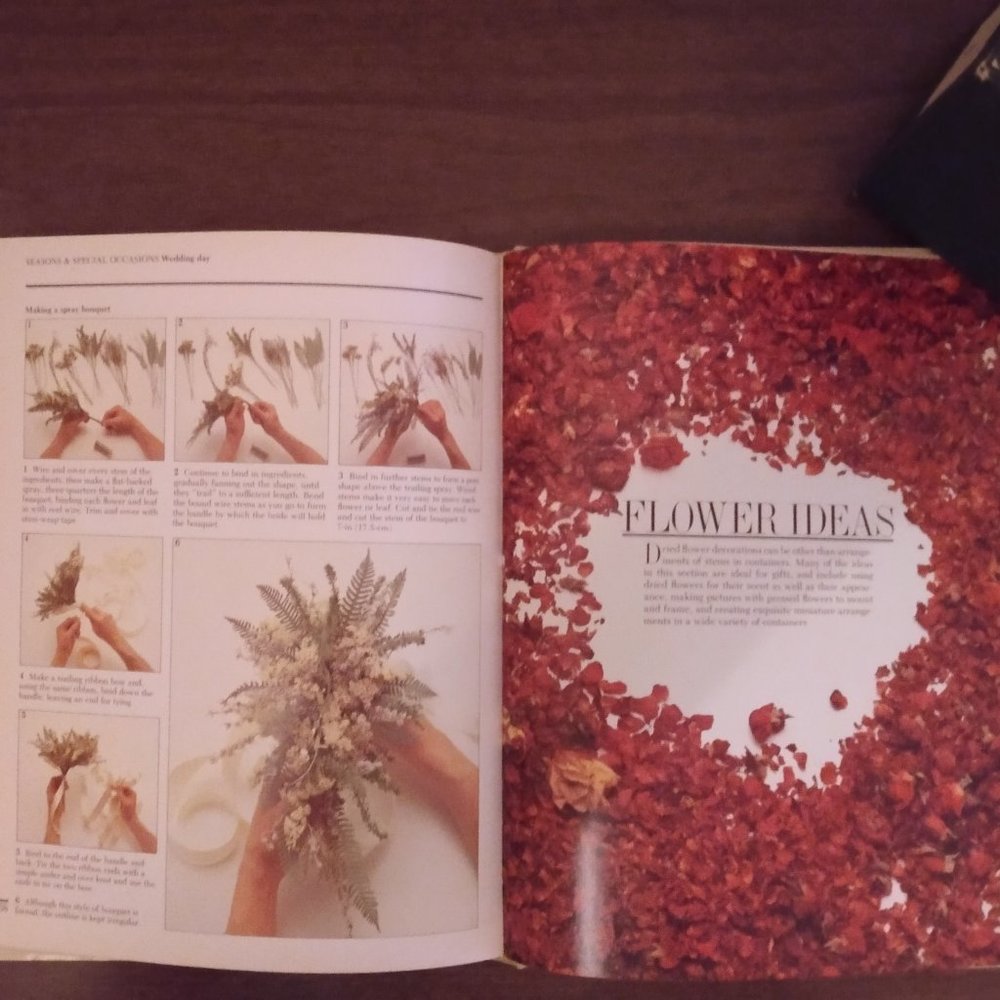 The Book of Dried Flowers - Picture 7 of 10